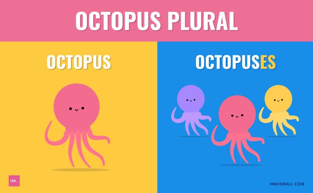 Facts about Octopus