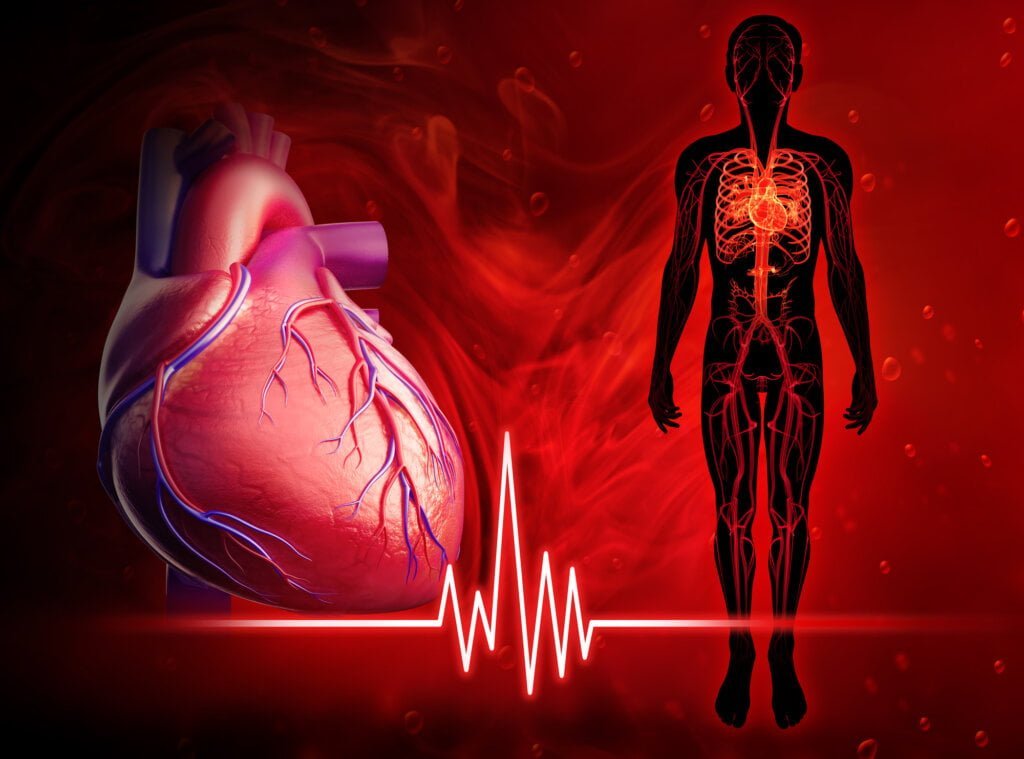 Facts About Human Heart Facts Blog